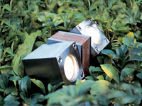 q-bic-outdoor-floodlight-royal-botania-245974-relcbd9197c.jpg thumb image